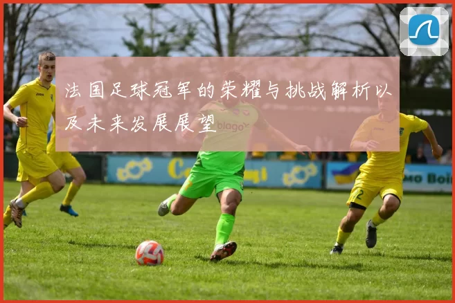 法国足球冠军的荣耀与挑战解析以及未来发展展望